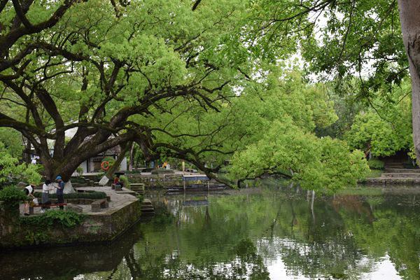 辽宁省副省长赴铁岭调研快递进村工作