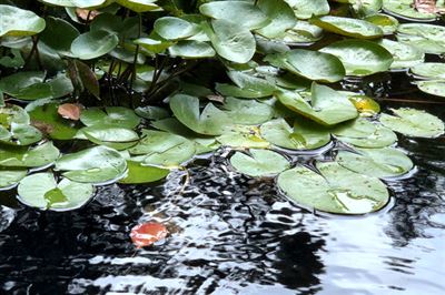 河北局印发安全生产治本攻坚三年行动年度重点工作任务清单