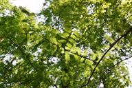 天津市邮政管理局持续推进行业反内卷工作